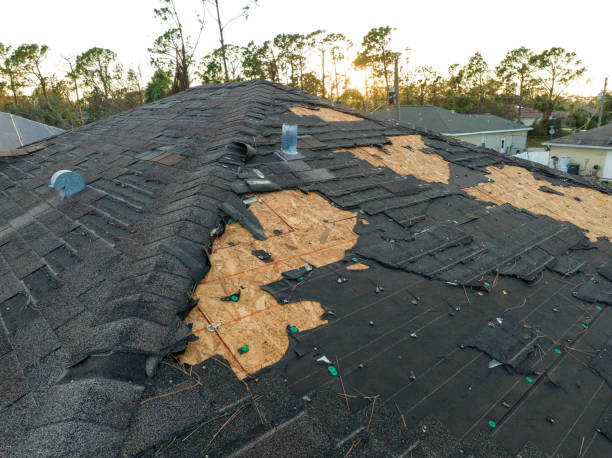 Best Slate Roofing  in Dover Plains, NY