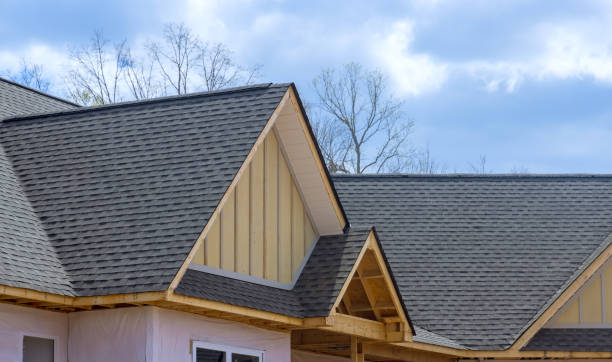 Best Roof Maintenance and Cleaning  in Dover Plains, NY